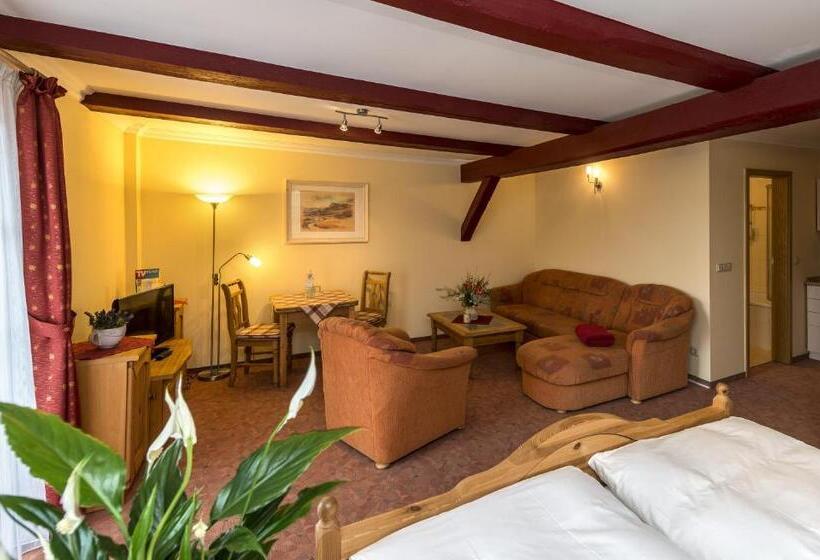 غرفة قياسية, Gut Voigtlaender