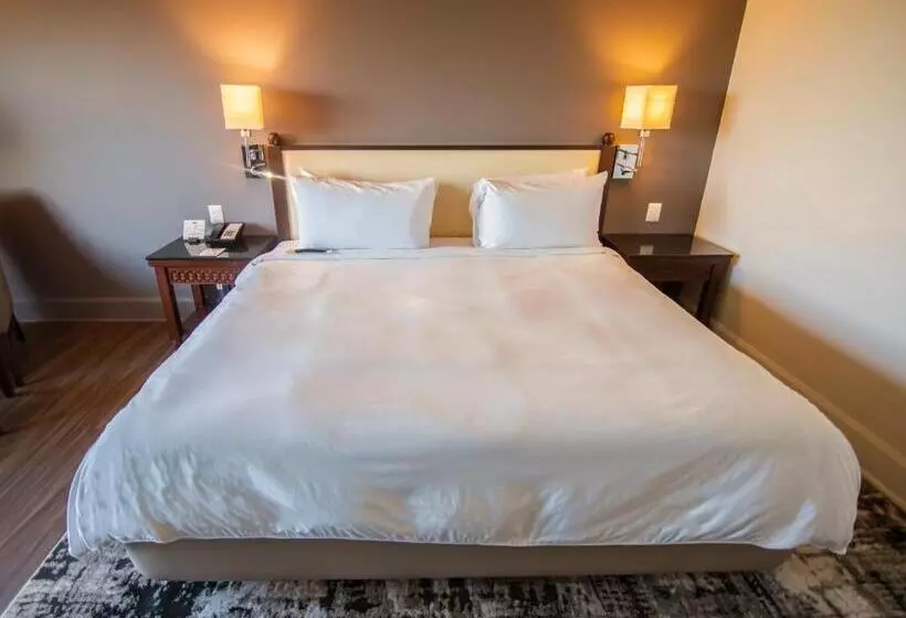 اتاق لوکس با تخت بزرگ, Lucerna Culiacan