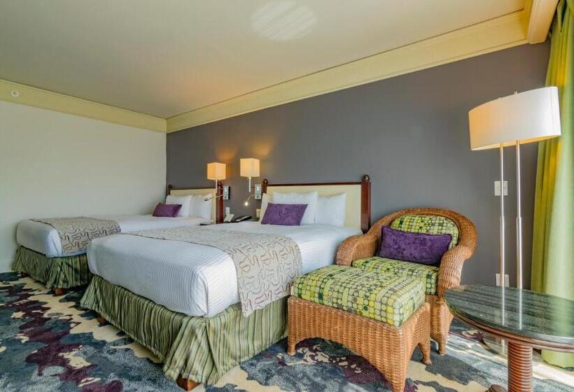 חדר דלוקס, Lucerna Culiacan