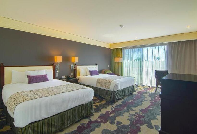 デラックスルーム, Lucerna Culiacan