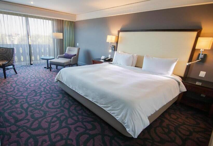 חדר סטנדרט עם מיטת קינג, Lucerna Culiacan