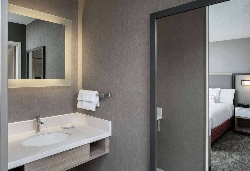سوییت, Sonesta Select Nashville Airport Suites