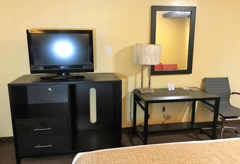 חדר סטודיו סטנדרד, Travelodge By Wyndham New Braunfels