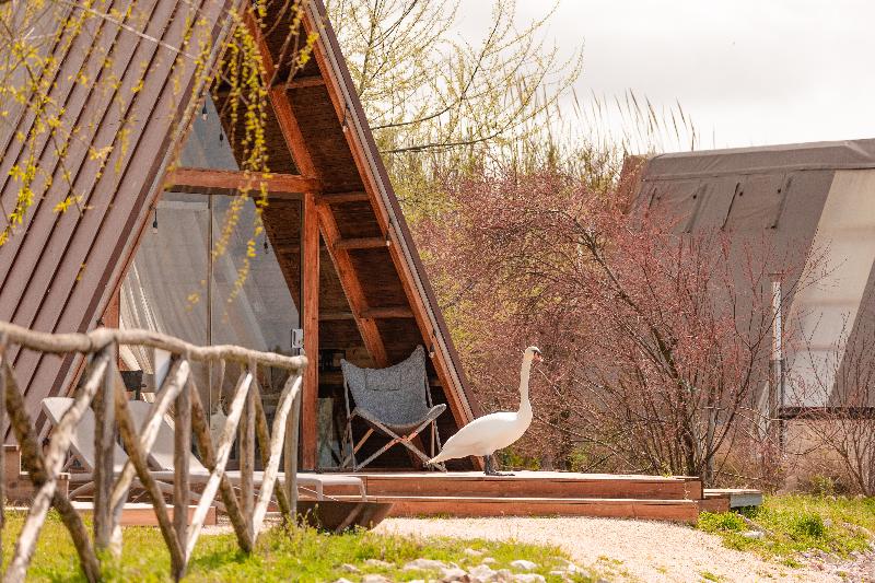 چادر با خدمات رفاهی استاندارد, Nabi Resort Glamping & Spa