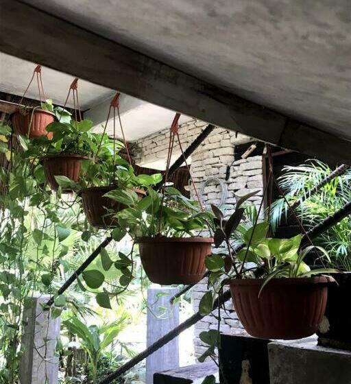 豪华房间, Verdeamar Eco Lodge Jungle Retreat