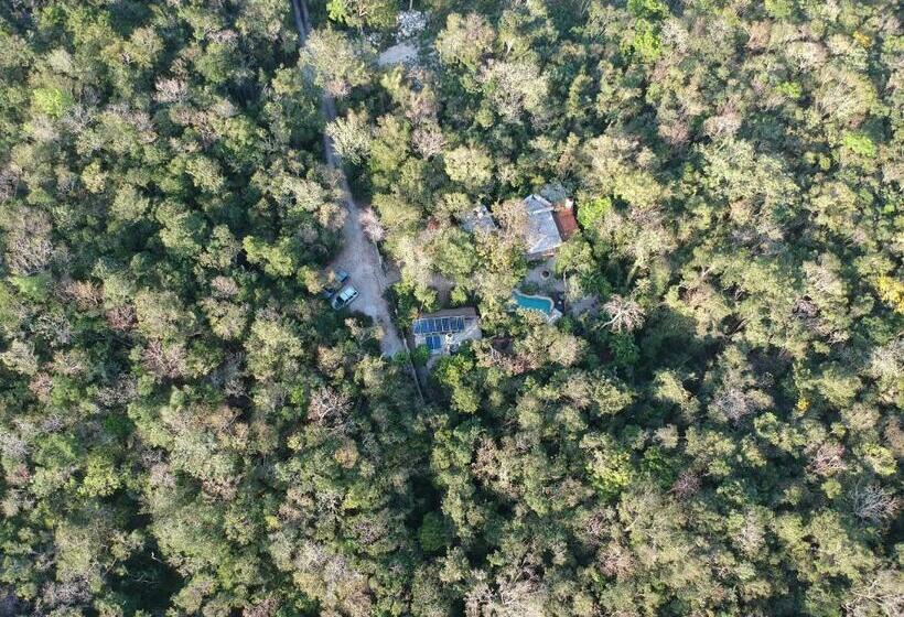 豪华房间, Verdeamar Eco Lodge Jungle Retreat