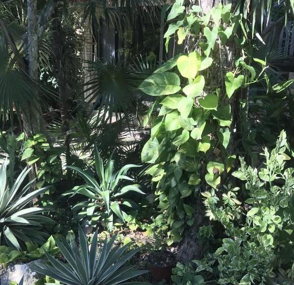 标准房带园景, Verdeamar Eco Lodge Jungle Retreat