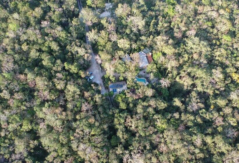 غرفة قياسية مطلّة علي الحديقة, Verdeamar Eco Lodge Jungle Retreat