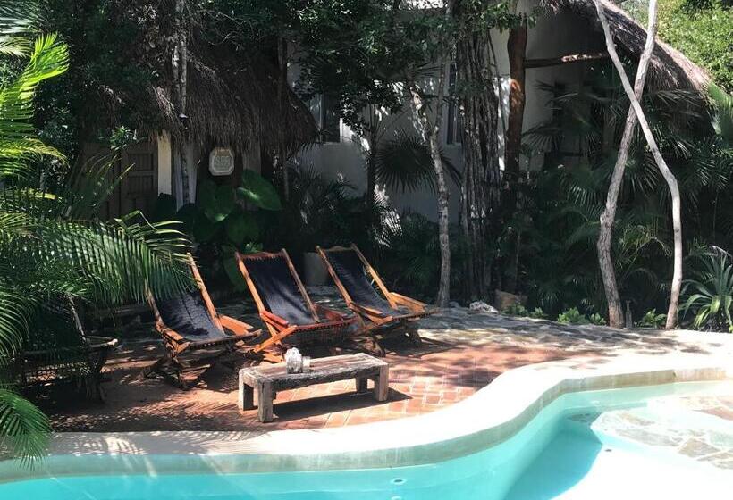 标准房带园景, Verdeamar Eco Lodge Jungle Retreat