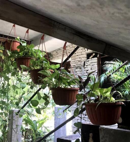 标准房带园景, Verdeamar Eco Lodge Jungle Retreat