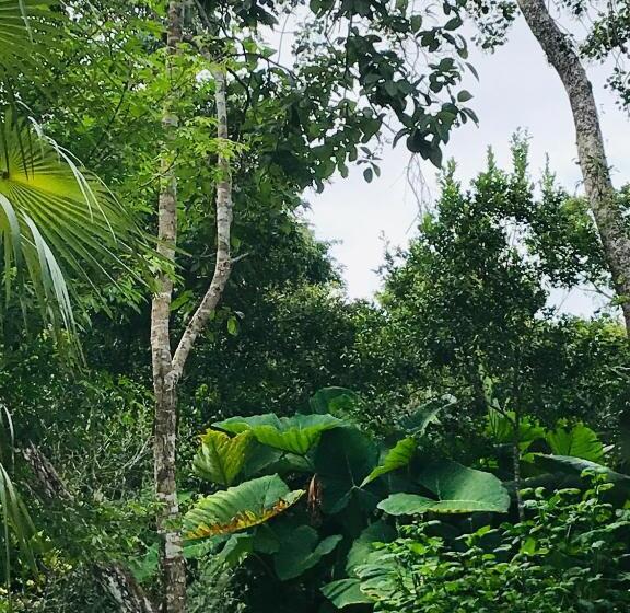 带阳台的豪华间, Verdeamar Eco Lodge Jungle Retreat