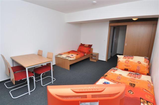 Номер Стандарт Трехместный, Sport Hotel Ticha Orlice