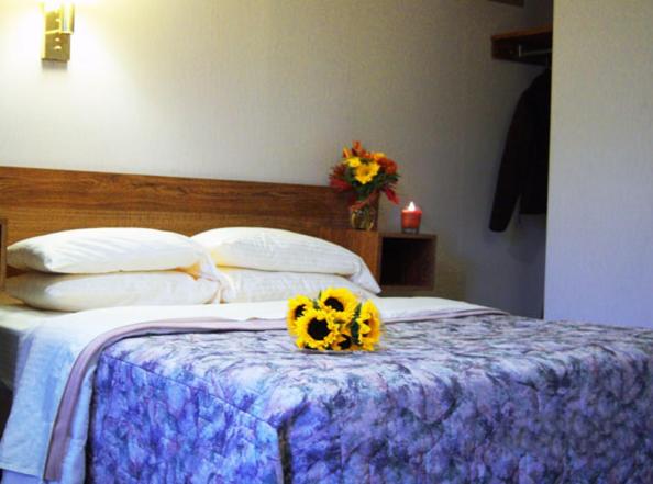 חדר סטנדרט, Tall Pines Motel