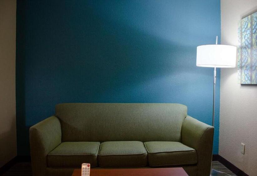 جناح ديلوكس سرير كينج, Best Western Plus Menomonie Inn & Suites