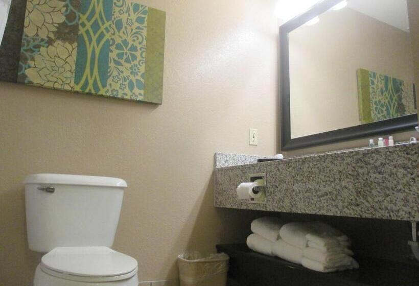 غرفة قياسية سرير كينج لذوى الإحتياجات الخاصة, Best Western Plus Menomonie Inn & Suites