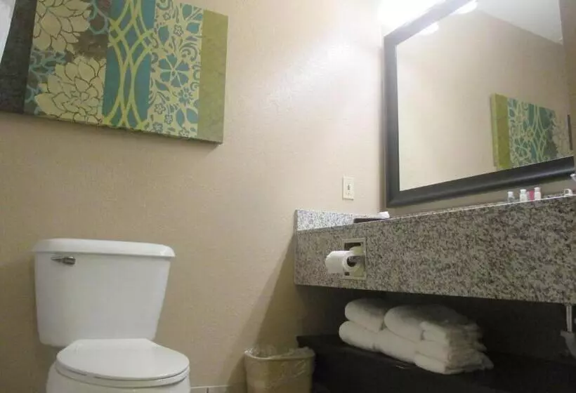 身障者適用キングサイズベッドルーム, Best Western Plus Menomonie Inn & Suites