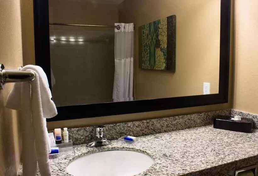 身障者適用スタンダードルーム, Best Western Plus Menomonie Inn & Suites