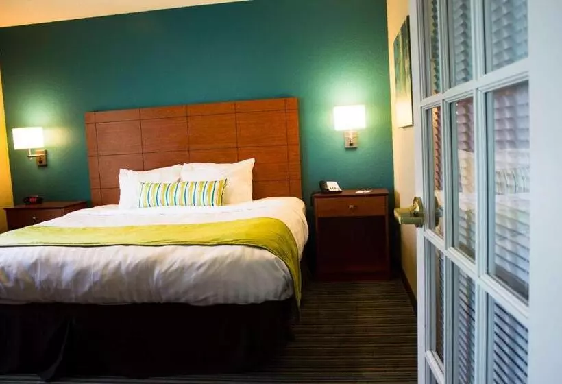 身障者適用スタンダードルーム, Best Western Plus Menomonie Inn & Suites