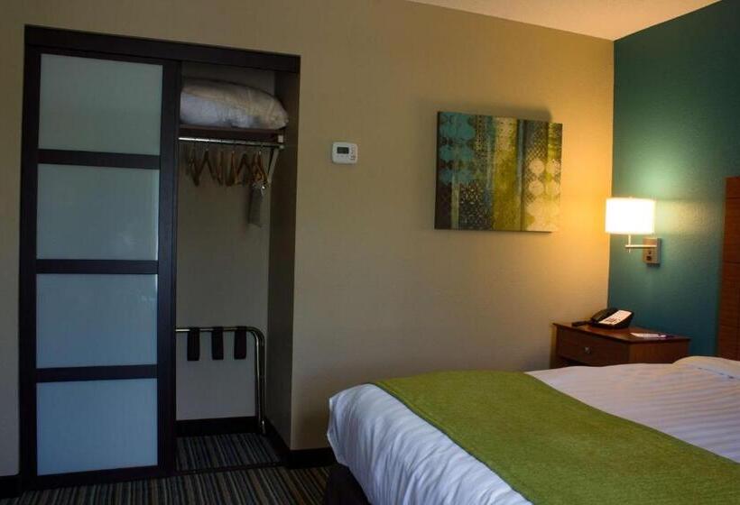 إستوديو قياسى سرير كينج, Best Western Plus Menomonie Inn & Suites