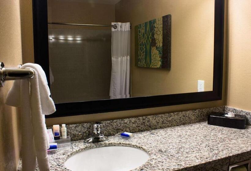 סטודיו סטנדרט, מיטה זוגית, Best Western Plus Menomonie Inn & Suites