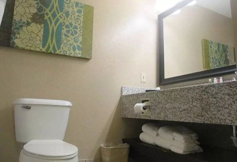 キングサイドベッドのスタンダードワンルーム, Best Western Plus Menomonie Inn & Suites