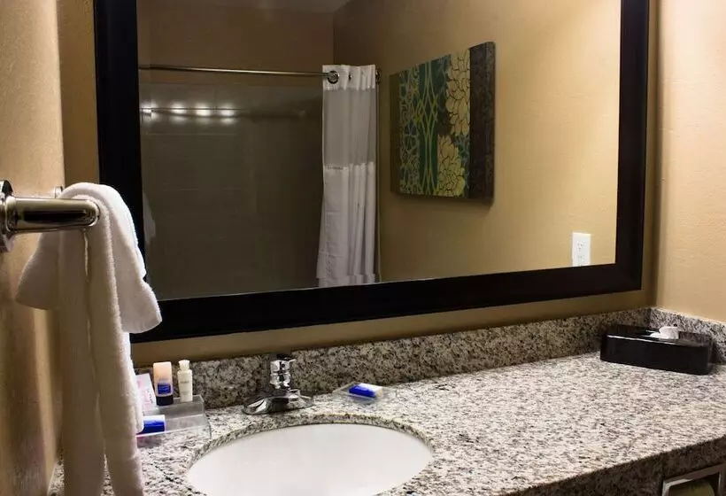 キングサイドベッドのスタンダードワンルーム, Best Western Plus Menomonie Inn & Suites