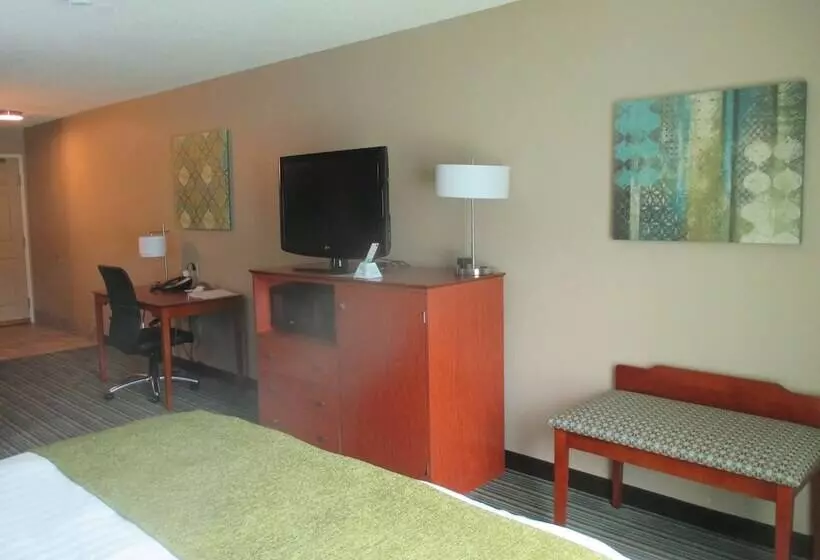 キングサイドベッドのスタンダードワンルーム, Best Western Plus Menomonie Inn & Suites