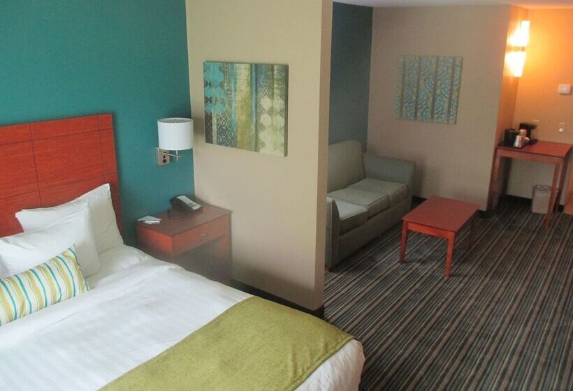 Студио Стандарт Кровать Кинг, Best Western Plus Menomonie Inn & Suites