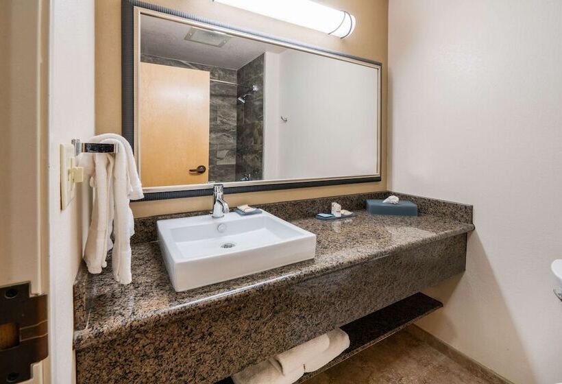 غرفه قياسيه سريرين مزدوجين, Best Western Plus Riverfront Hotel And Suites