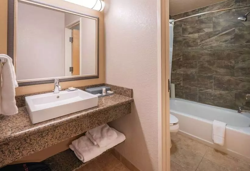 اتاق استاندارد با 2 تخت دوبل, Best Western Plus Riverfront Hotel And Suites