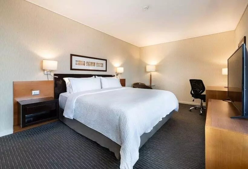 スタンダードルーム, Holiday Inn Express Santiago Las Condes, An Ihg