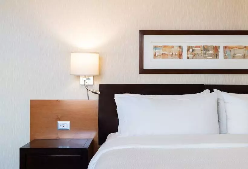 スタンダードルーム, Holiday Inn Express Santiago Las Condes, An Ihg