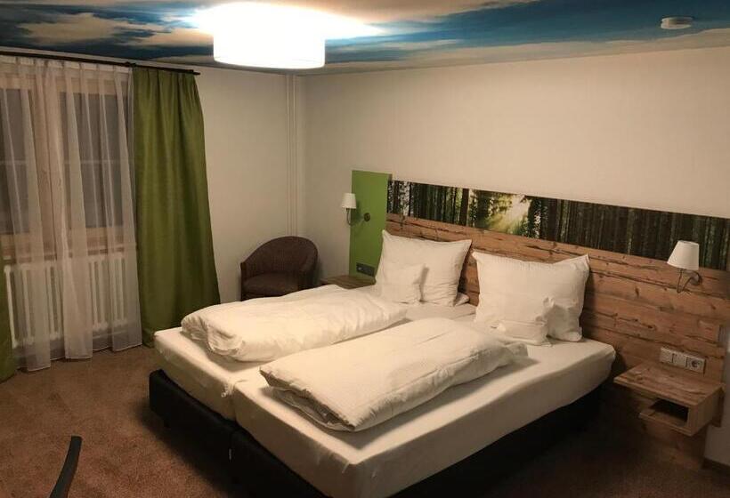 Номер Стандарт, Schöne Aussicht