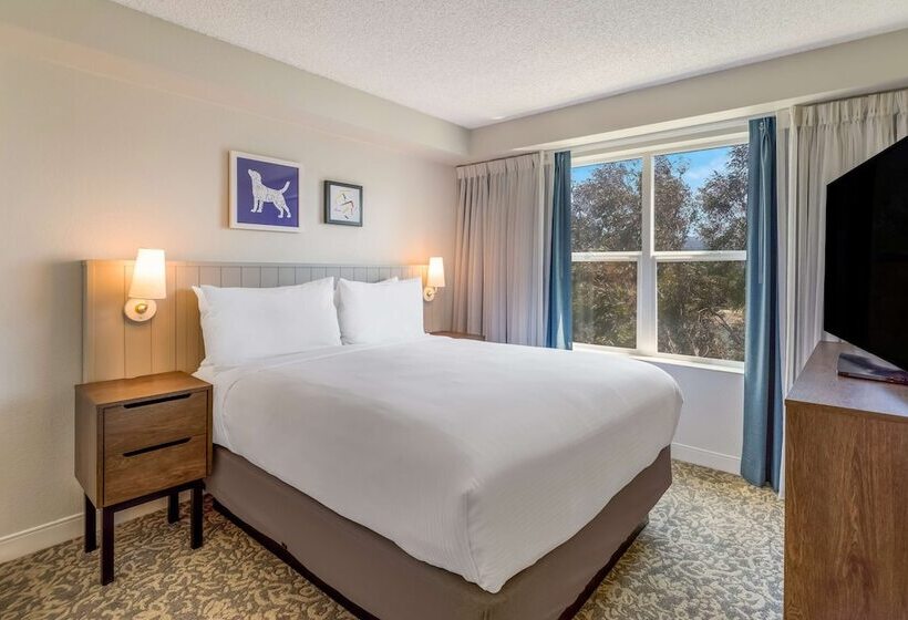 身障者適用スイートルーム, Sonesta Es Suites San Francisco Airport Oyster Point Waterfront