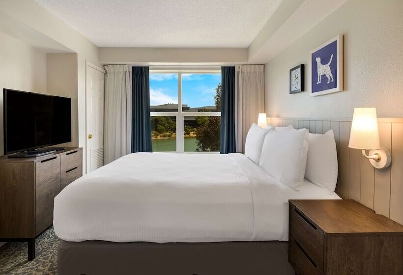 スイート, Sonesta Es Suites San Francisco Airport Oyster Point Waterfront