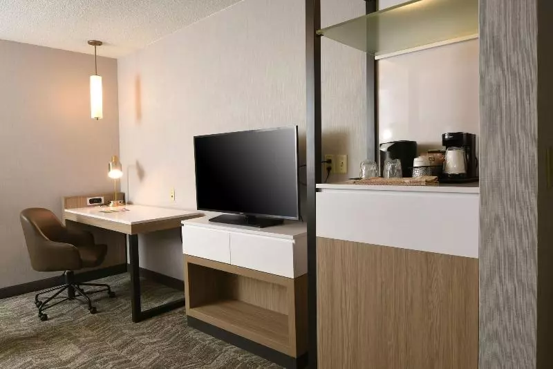キングサイズベッドのスイートルーム, Springhill Suites Des Moines West