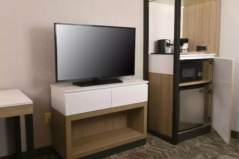 クイーンサイズベッドのスイートルーム, Springhill Suites Des Moines West