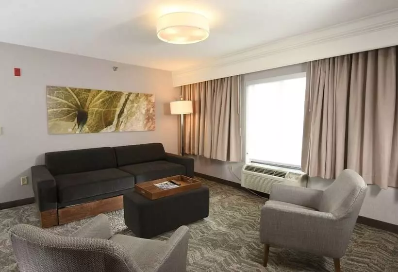 身障者適用スイートルーム, Springhill Suites Des Moines West