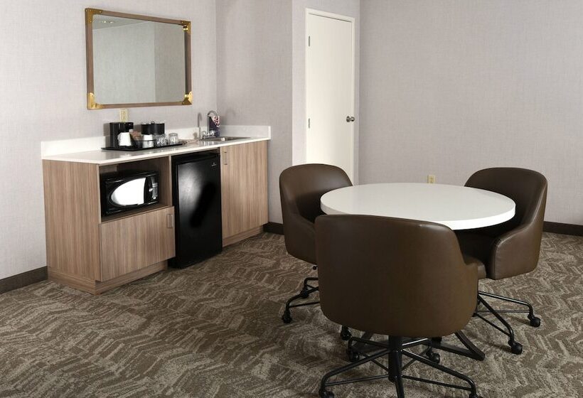 סוויטה מותאמת לאדם עם מוגבלויות, Springhill Suites Des Moines West