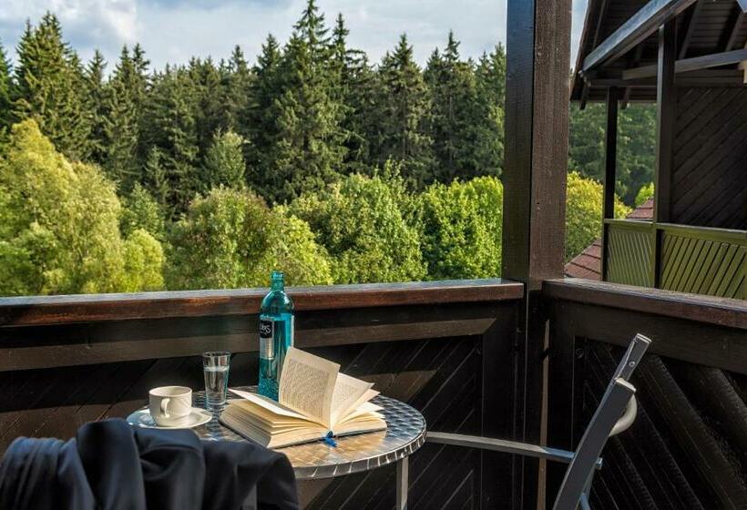 Номер Стандарт Индивидуальный, Relexa Hotel Harz Wald Braunlage Gmbh