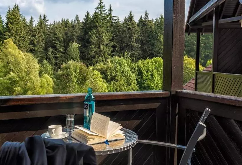 スタンダードルーム, Relexa Hotel Harz Wald Braunlage Gmbh