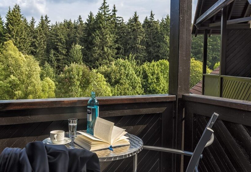 Номер Economy, Relexa Hotel Harz Wald Braunlage Gmbh