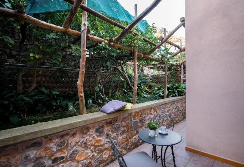 标准房带园景, Margherita