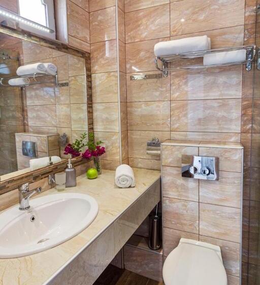 オーシャンビュースタンダードルームバルコニー付き, Odysseas