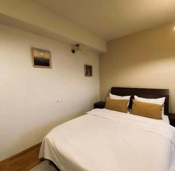 Standard-huone, Cetatuia