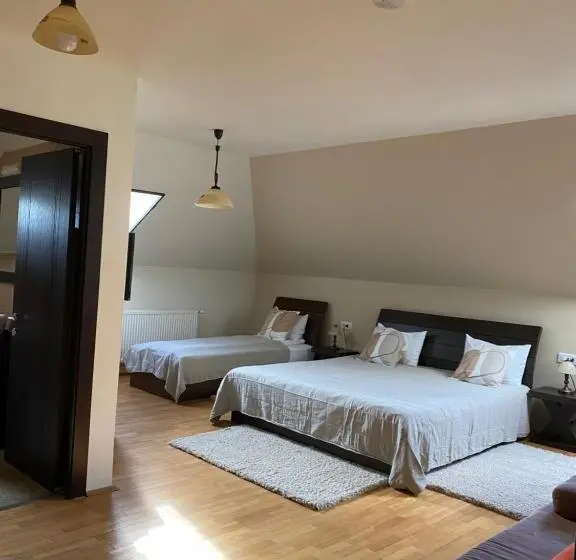 Standard Kolmen Hengen Huone, Cetatuia