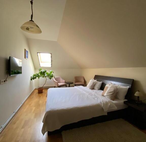 Апартаменты 1 Спальня с Балконом, Cetatuia