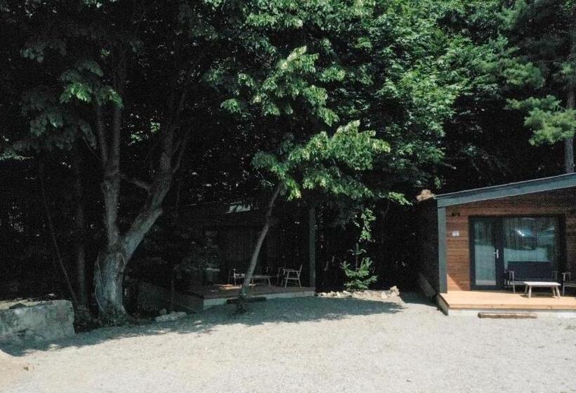 Бунгало Стандарт Вид на Сад, Cetatuia