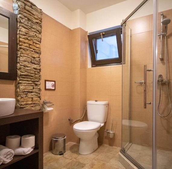 Апартаменты 1 Спальня с Балконом, Cetatuia