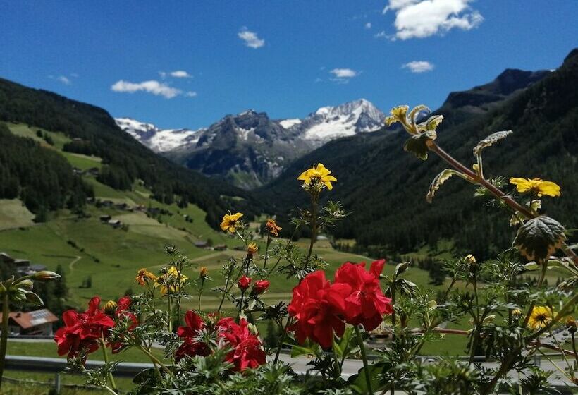 标准间带山景, Bergchalet Hotel Reinerhof